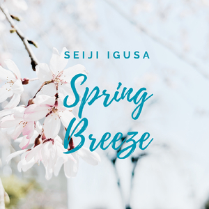 免费国产美女一级八A片
